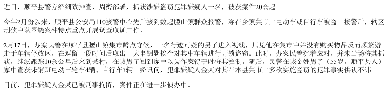 男子"集市"频盗窃 民警跟踪"斩"黑手