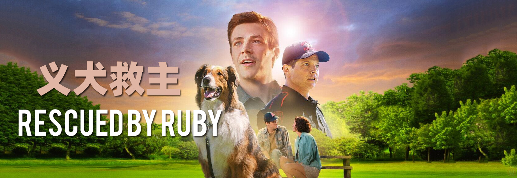 2022年美国电影儿童剧情片《义犬救主》
