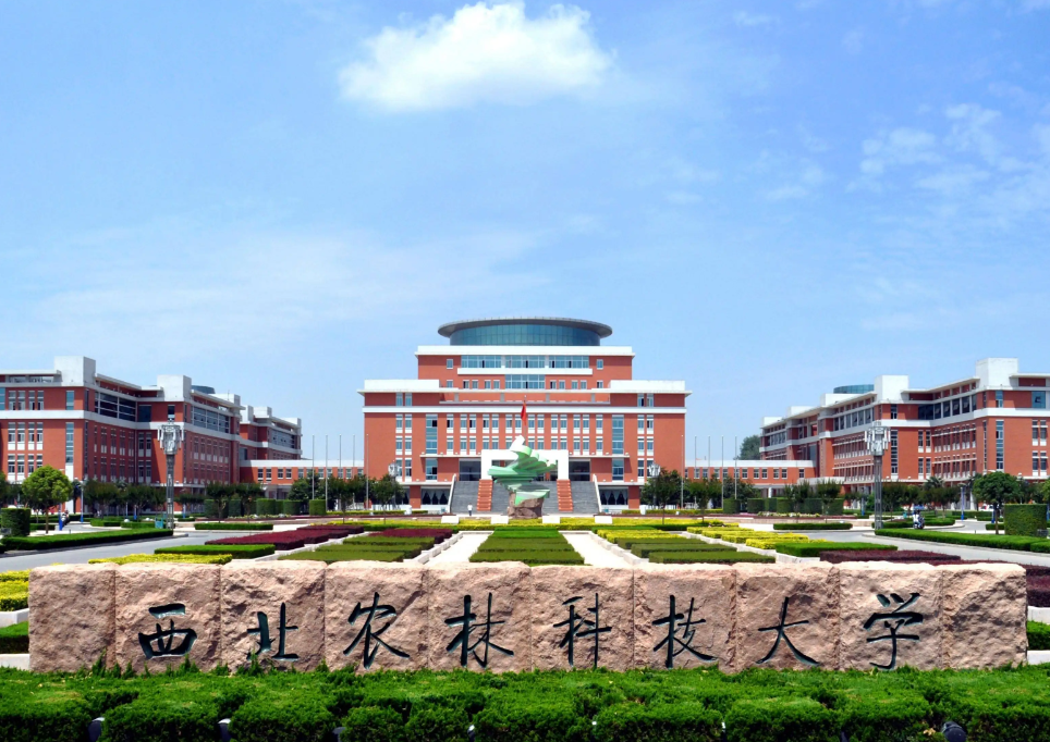 2022多个省份"高考状元"诞生,云南省排名第一,总分744分