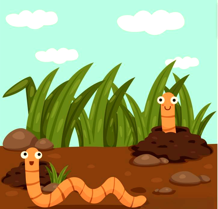 蚯蚓的惊人再生能力与多样化生存策略