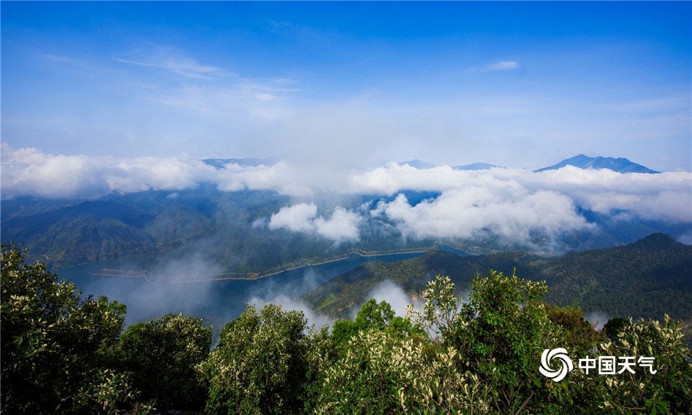 四川攀枝花:高山之巅马鹿寨美如"空中花园"
