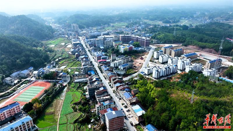 平江县龙门镇:众人划桨跃"龙门"