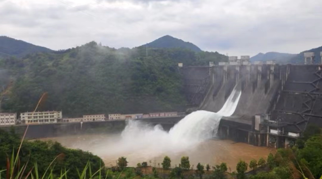 河源龙川枫树坝水库今日拉闸泄洪