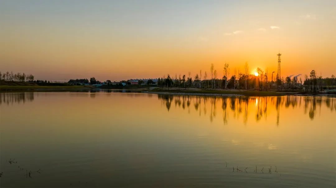 新区的夏天,好美