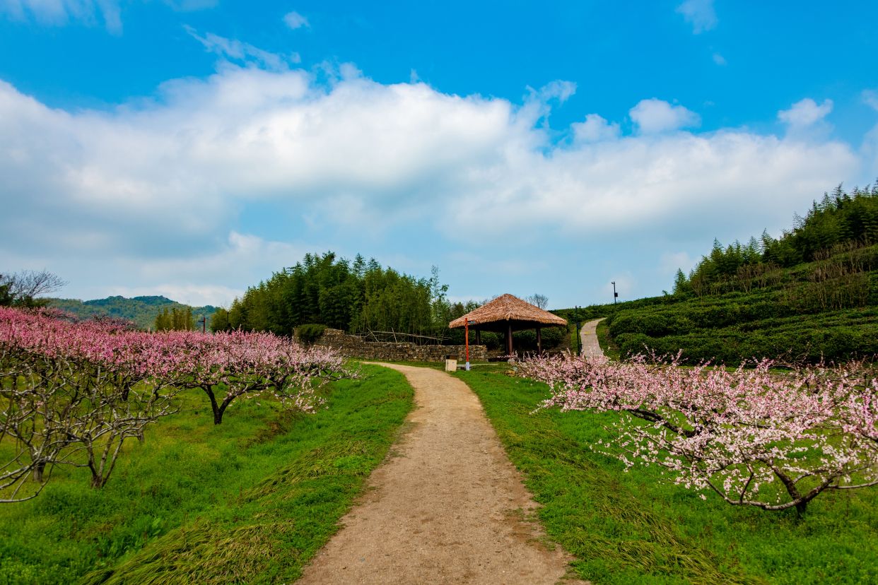 良渚瑶山遗址公园