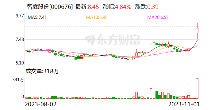 智度集团股票行情=000676智度股票