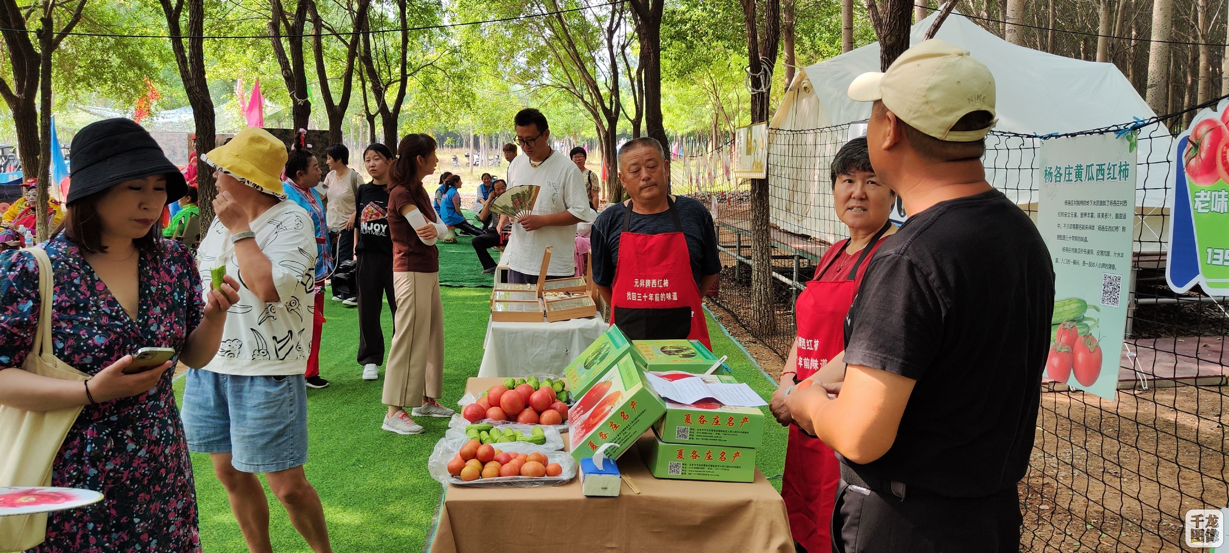 北京市平谷区夏各庄举行推介会 持续做好"土特产"文章