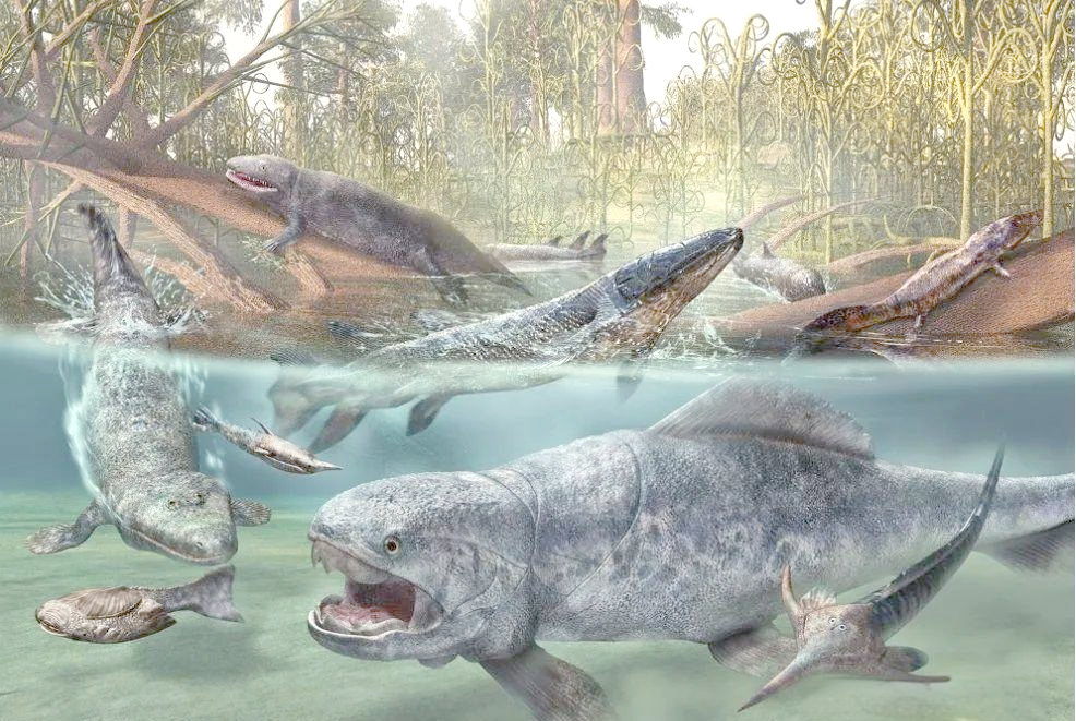 历经数次大灭绝,腔棘鱼顽强生存至今