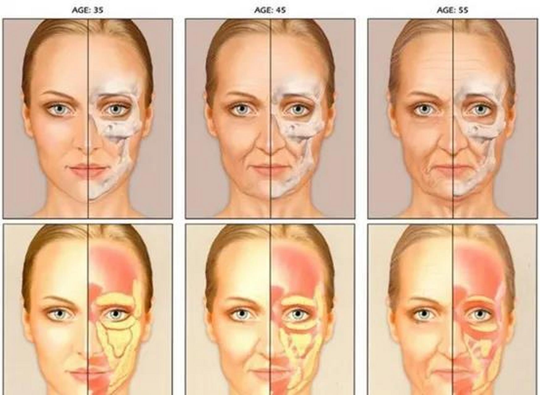 其实,肌肉衰老是有"信号"的,主要表现在两个方面: