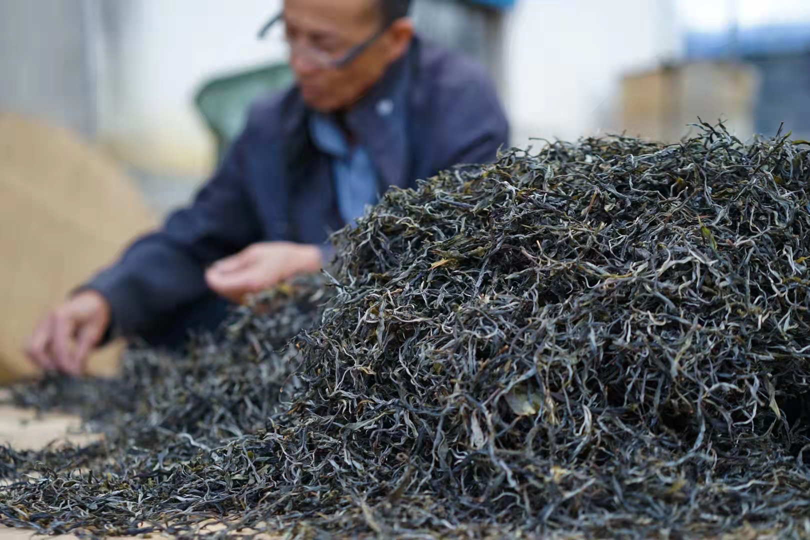 普洱茶的挑挑拣拣