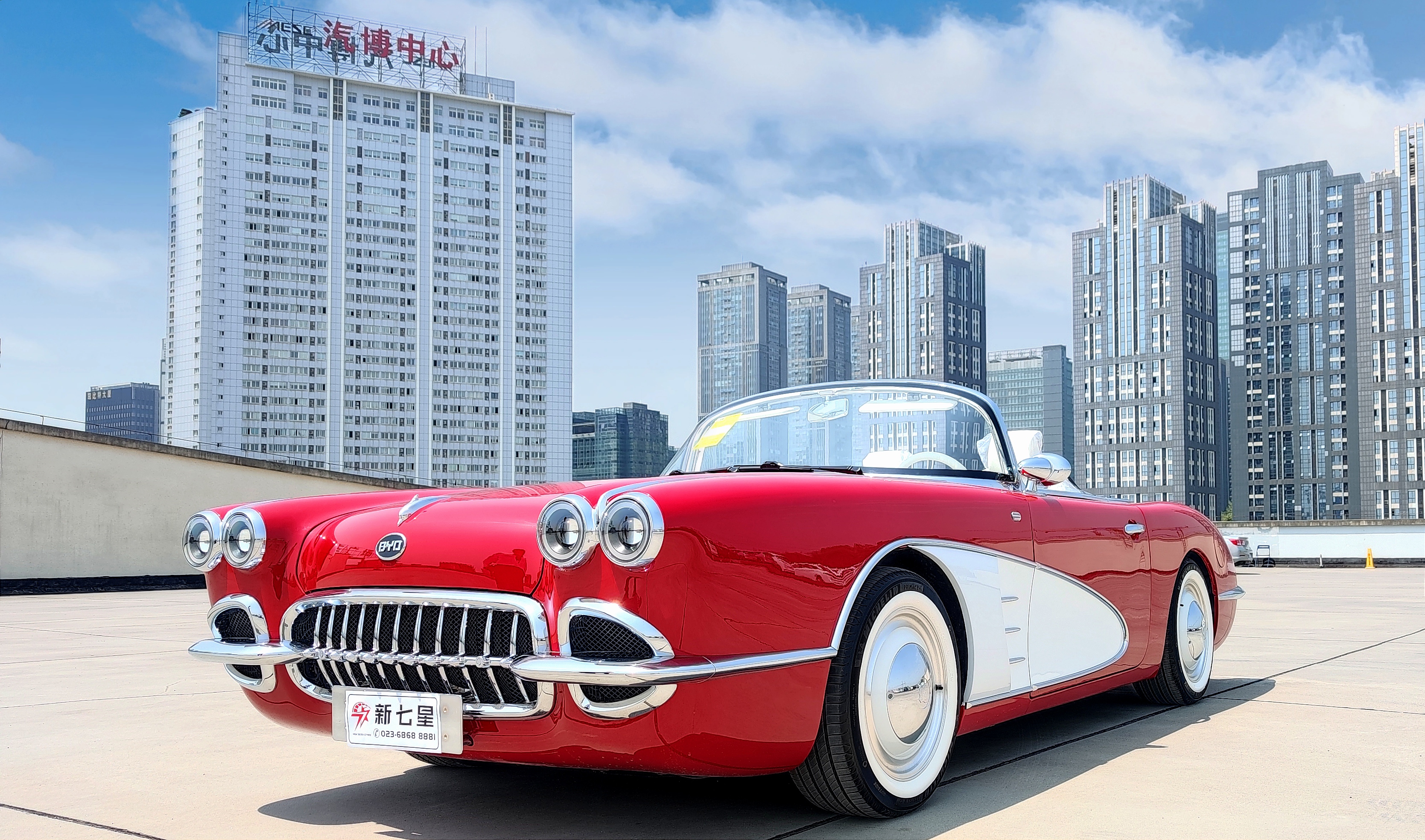 100%回头率|松散ss dolphin 海豚