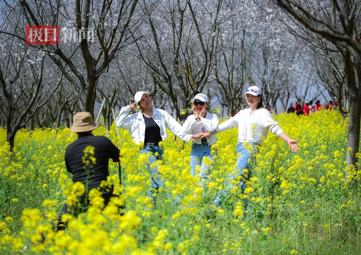 江夏区青春村图片