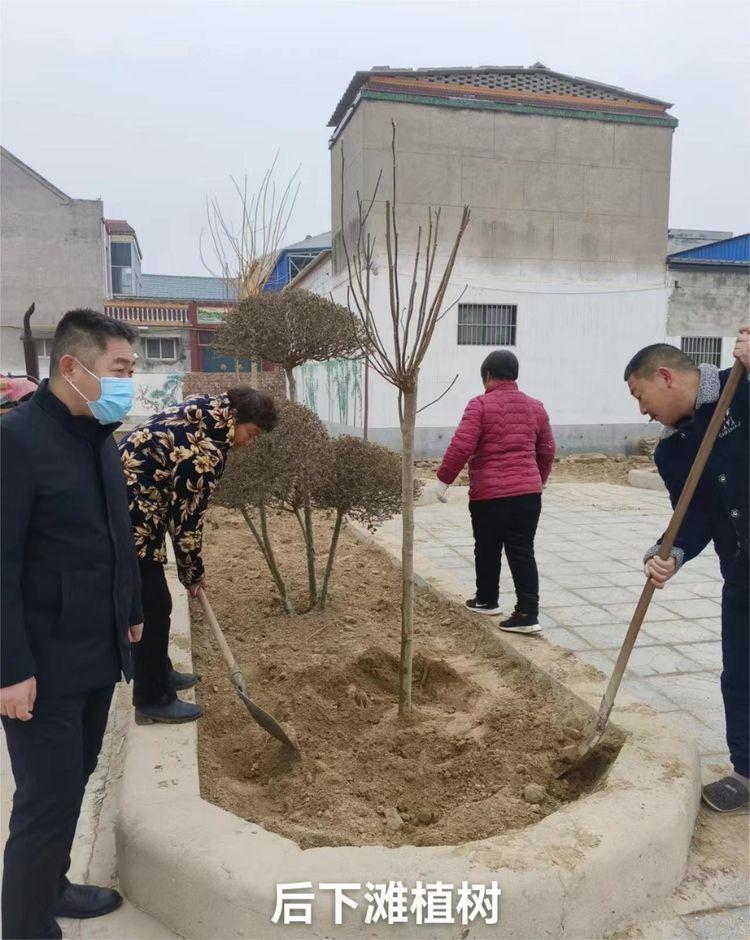 鹤壁浚县小河镇情杀图片