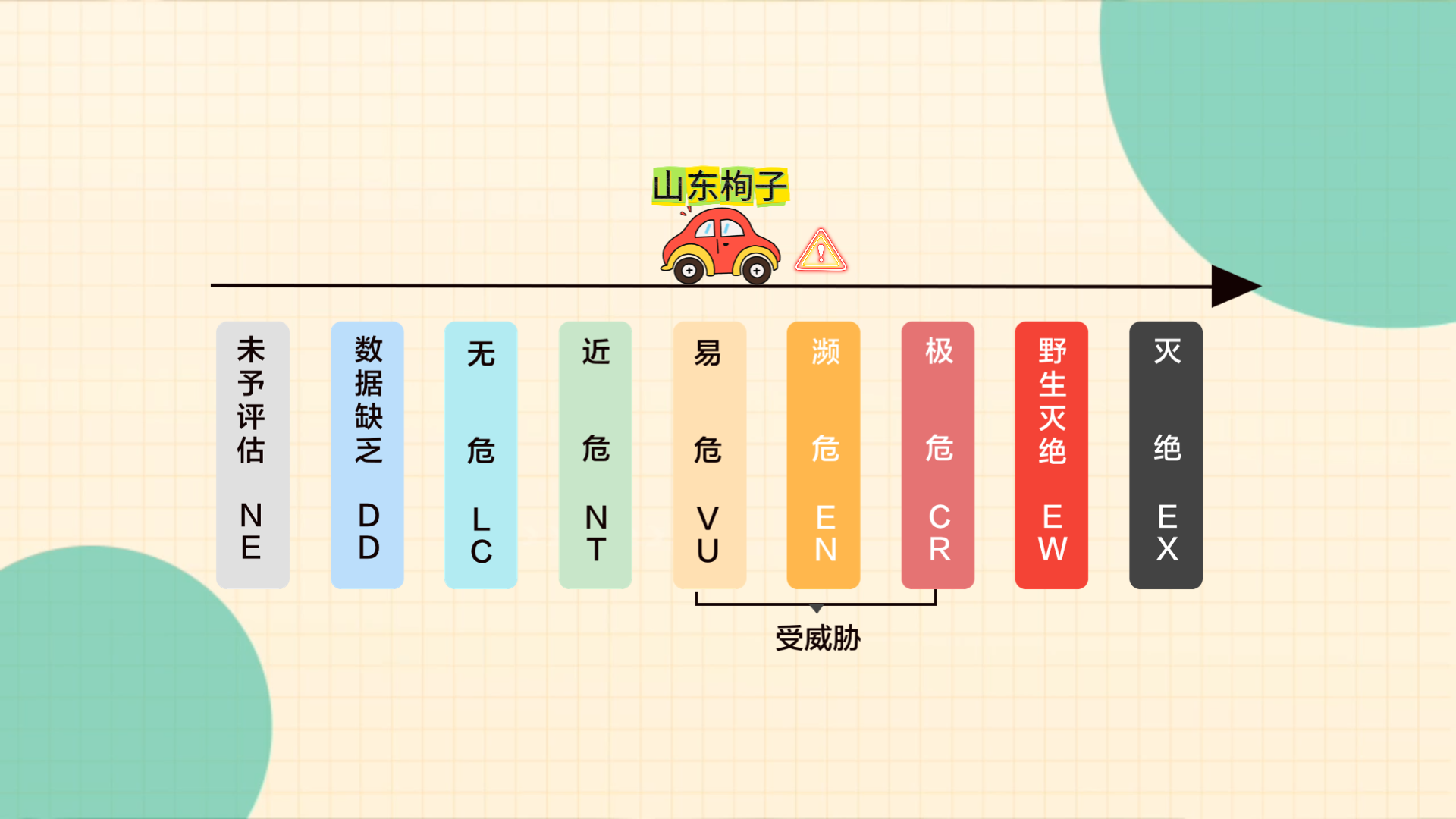 科普总动员｜探秘济南特有珍稀植物——山东栒子 - 图9