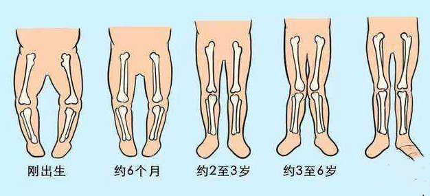 "屁股下就是脚后跟,妈妈吐槽宝宝腿短,身材三七分,网友笑翻