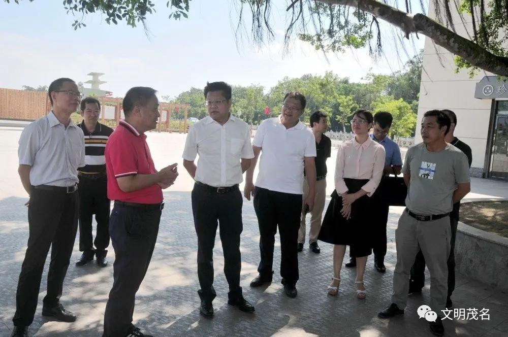 倪谦到电白区督导检查创文迎检工作
