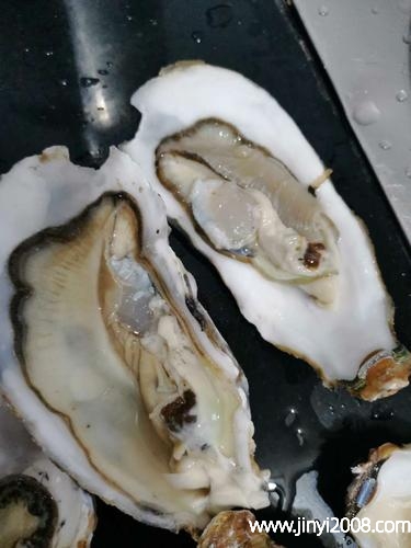 生蚝死了还可以吃吗(生蚝在泡沫箱保鲜几天)