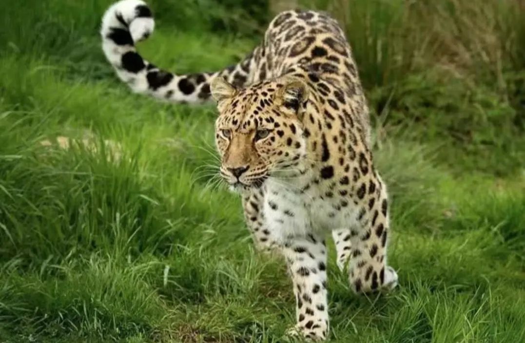 一起探索国家级自然保护区"雾灵山"