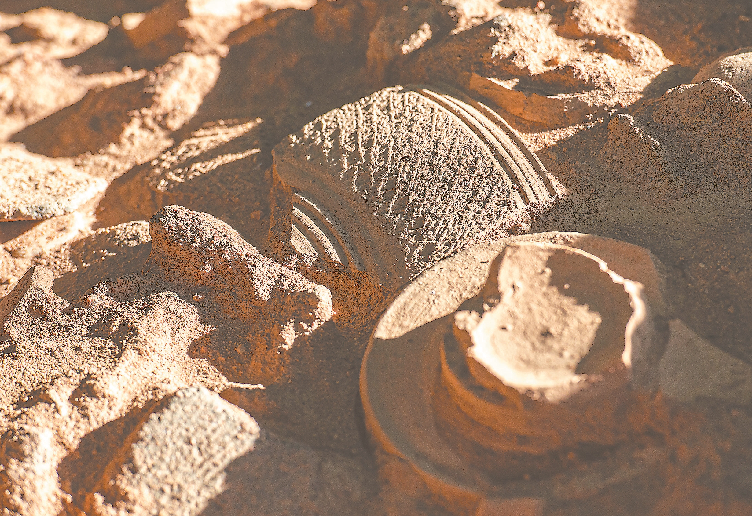 来平潭寻南岛语族之根:起底人类史上一次神秘的迁徙之旅