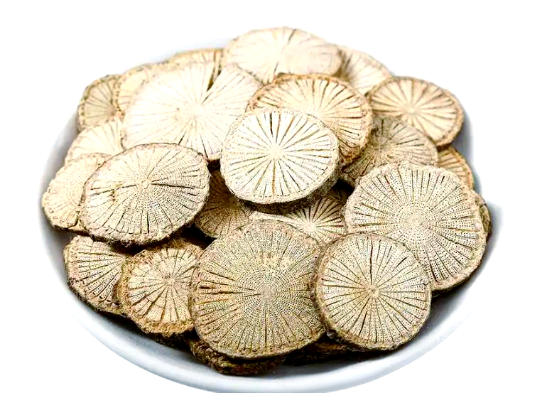 中药主治青风藤的外形为长圆柱形,通常带有轻微的弯曲