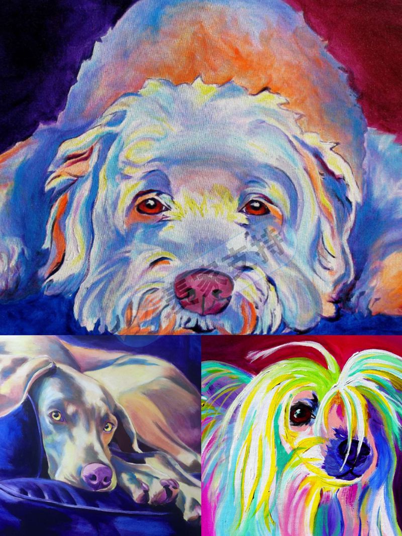 keith律所最新动向!代理alicia vannoy call,跨境电商注意