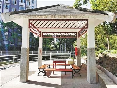 2000余名居民共同参与 常青藤社区共同缔造"邻里场景"