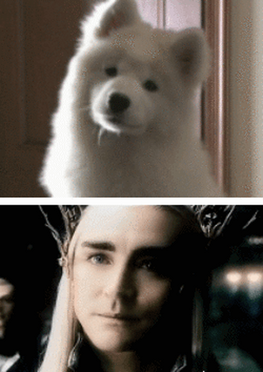 那些惊人相似的图片,简直一毛一样…….