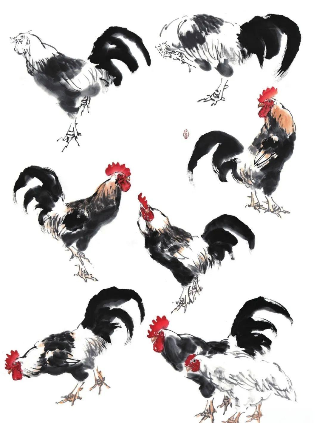 通过细致观察,我们可以发现鸡在不同情境下的独特姿态和动作,从而为