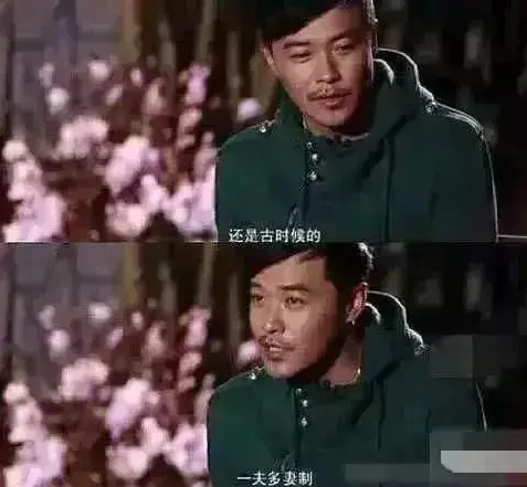 陈思诚三观图片