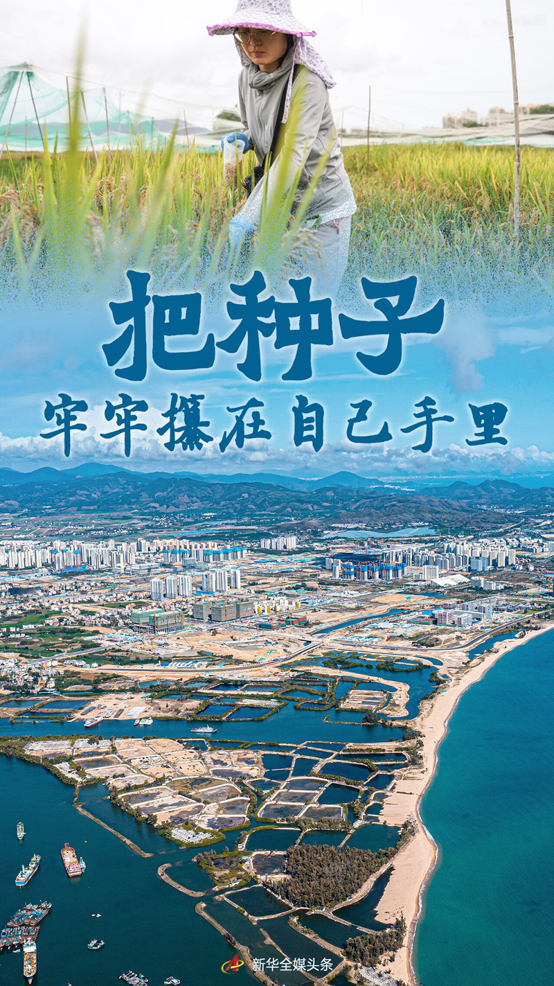 "把种子牢牢攥在自己手里"——南繁科技创新助推种业振兴见闻记