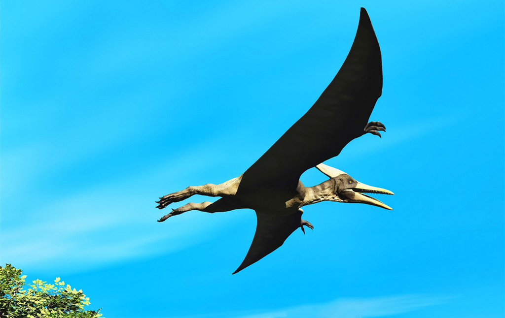 100多年前,美国人击落一头史前翼龙,拿出照片后专家称无ps痕迹