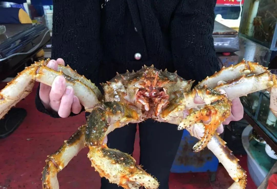 又到吃螃蟹的季节,哈喇子流一地