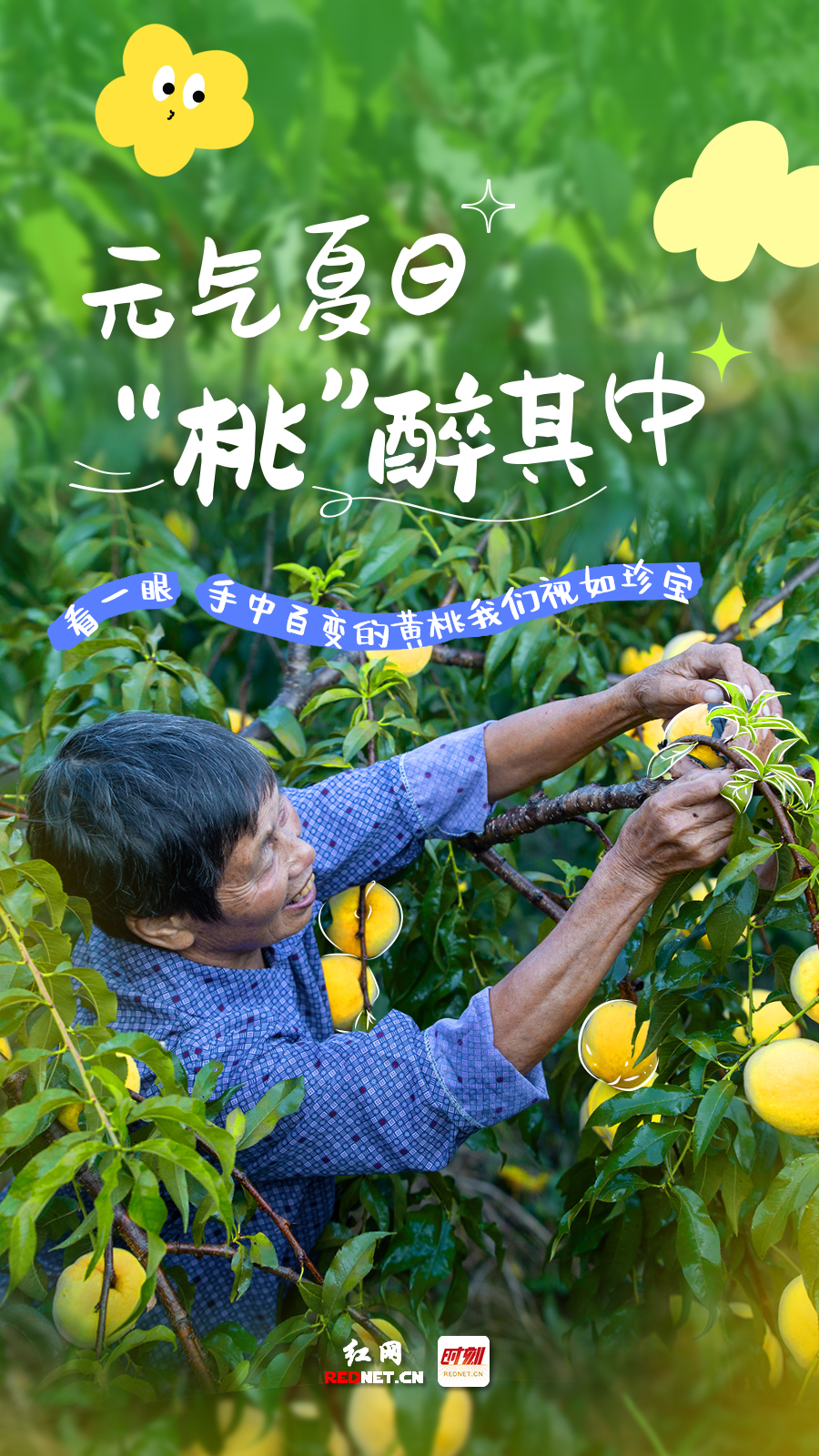 海报丨你见过的笑脸 他们个个都是炎陵黄桃代言人