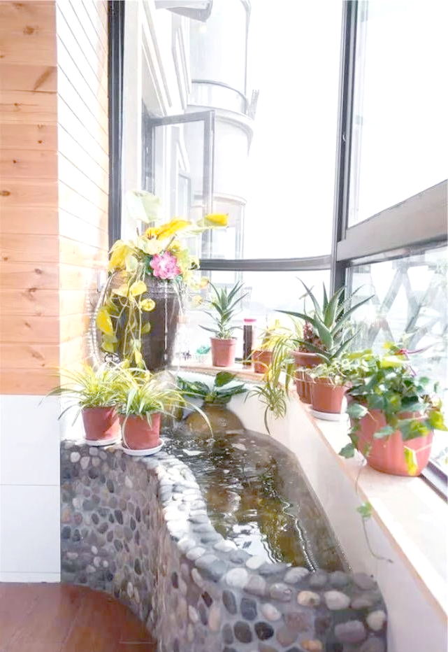 假山鱼池如何成为小阳台的新宠