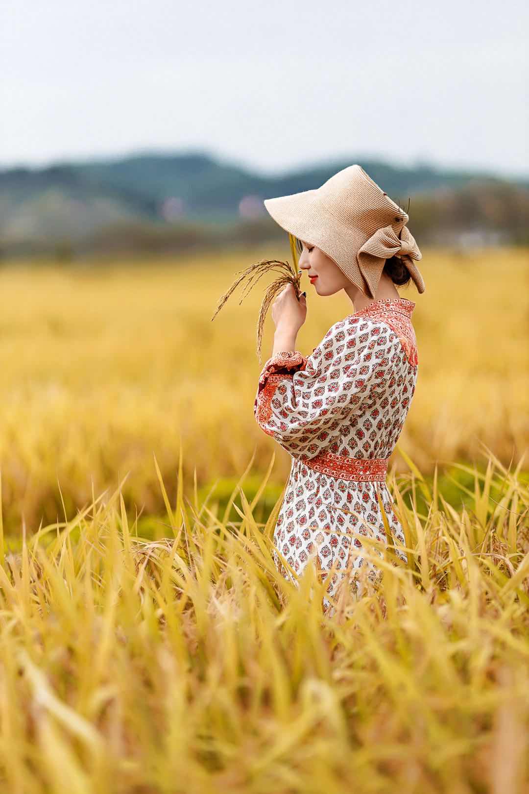 图- 热门商品专区