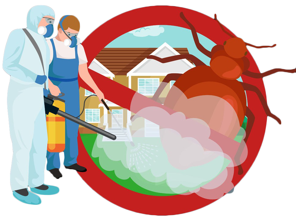 扩散!后天起,内江这里全城"大消杀"