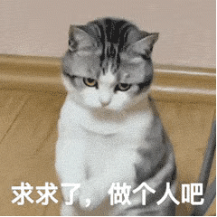 表情包动图求求你做个人吧