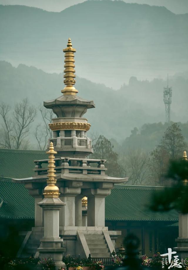 庐山东林寺的十个绝美瞬间丨"云游寺院"摄影展