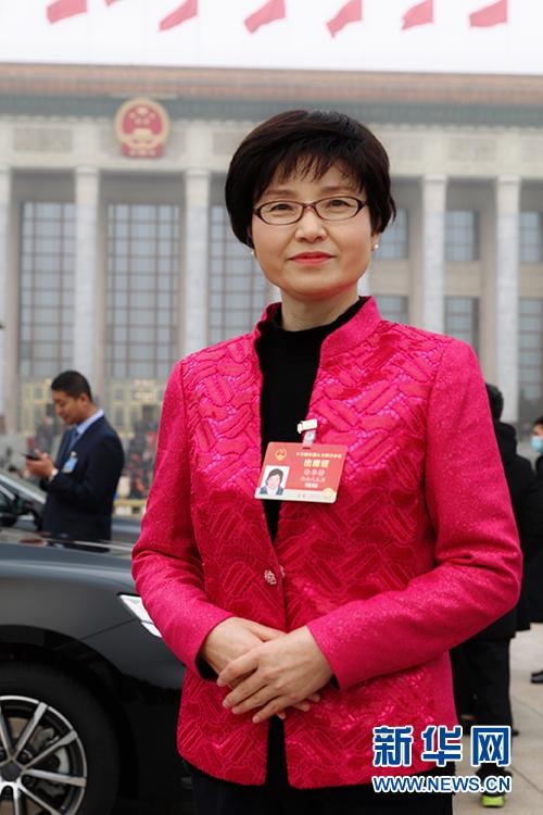 全国人大代表徐华铮:在发展中加大对荆州古城保护力度