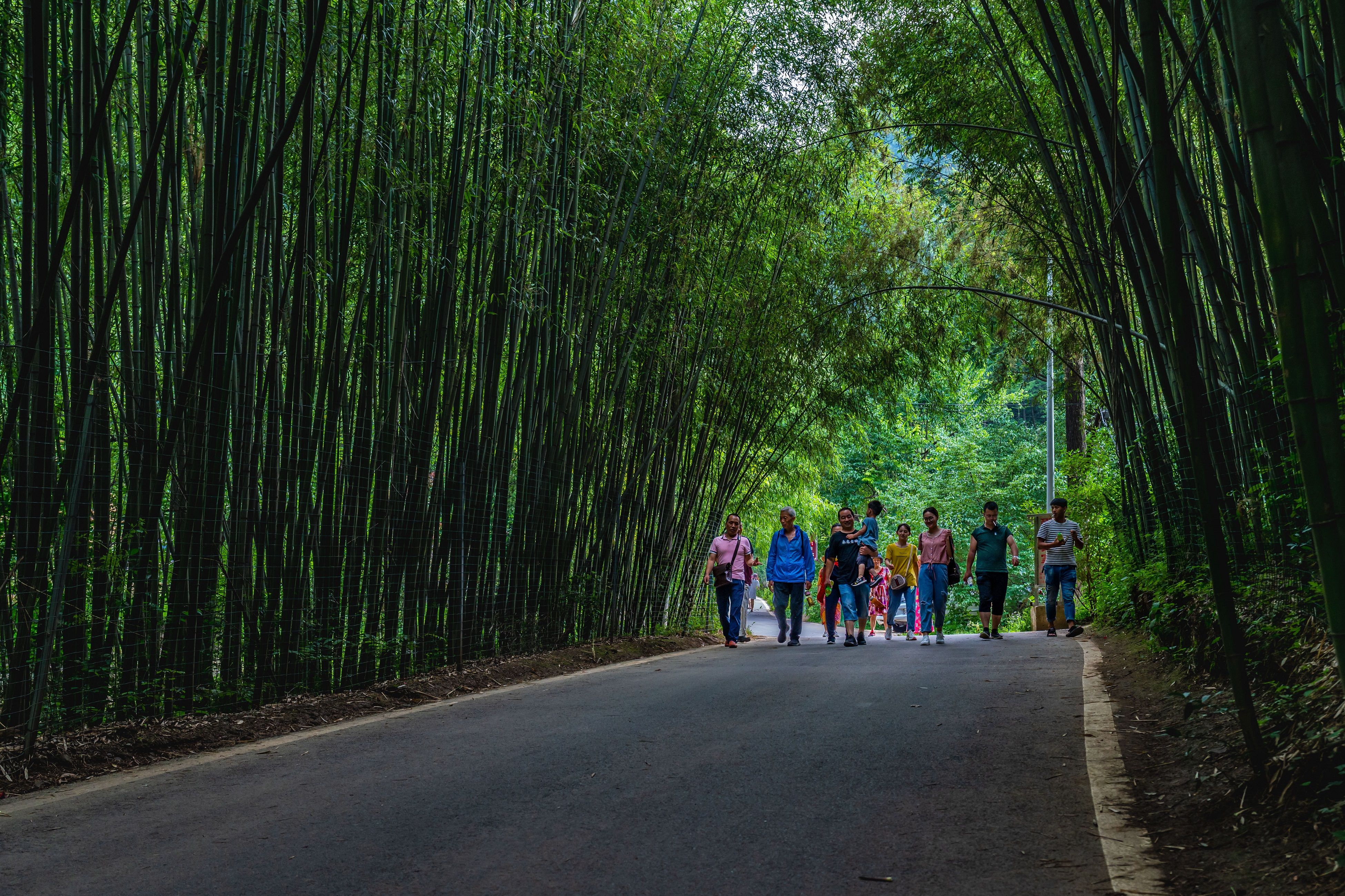 避暑旅游景点大全排名图片