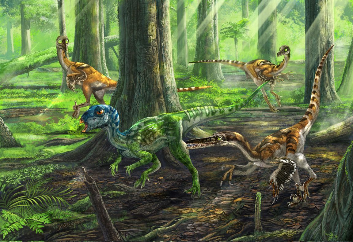 原来6500万年前恐龙灭绝的过程是这样的,竟然这么痛苦