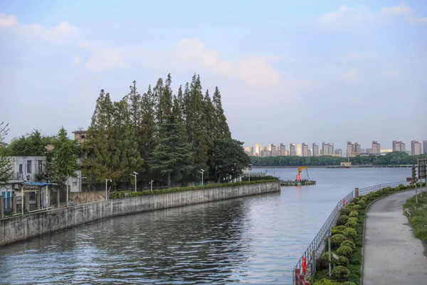 河畅,水净,岸绿,景美……徐汇区华泾镇家门口的河道微波粼粼!