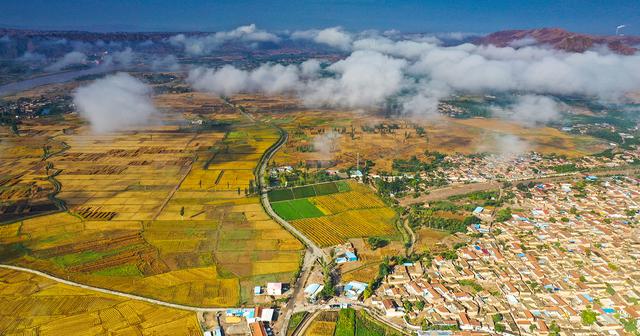 甘肃景泰:晨雾中的黄河五佛平原景色怎一个"美"字了得