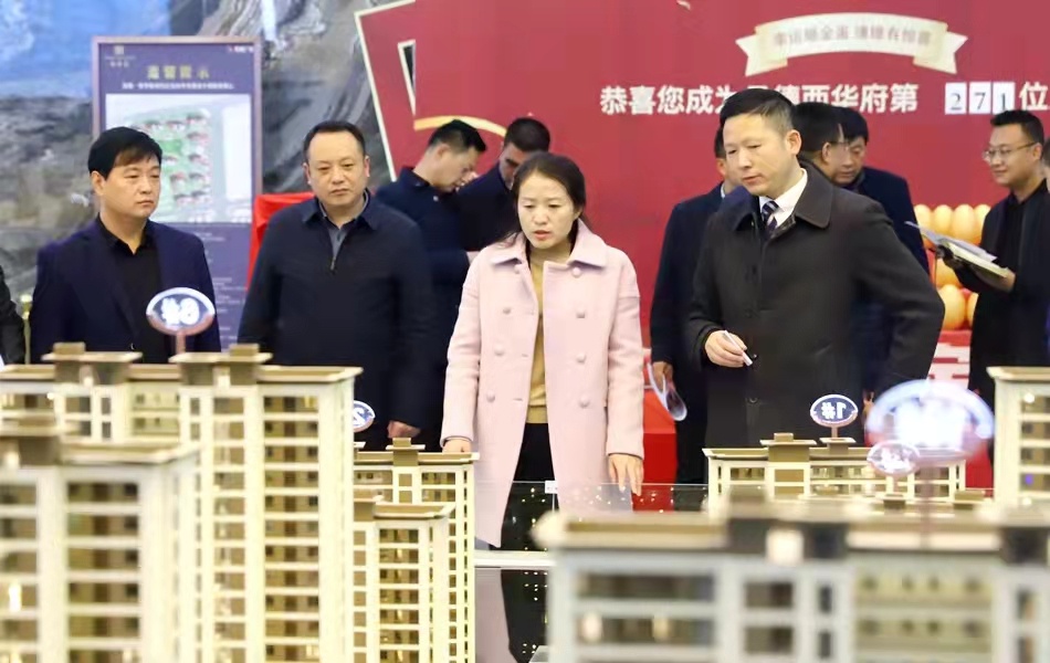 李菊霞督查全县重点项目建设工作