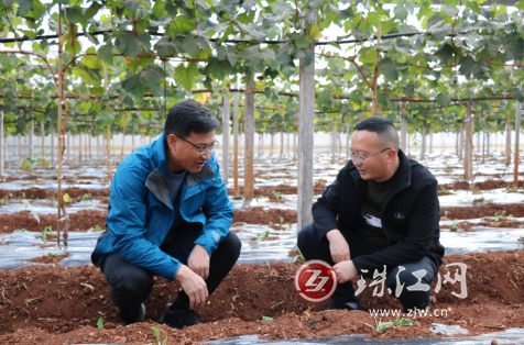 昆明理工大学副校长潘波深入宣威市羊场镇调研乡村振兴工作