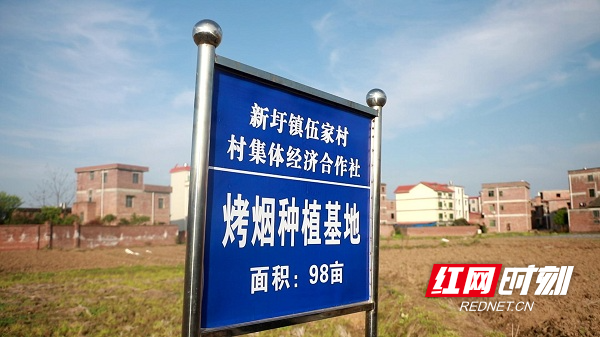 湖南新田:党支部领办合作社 壮大村集体经济