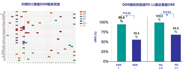 史颖弘教授:肝内胆管癌的外科综合治疗中山经验分享
