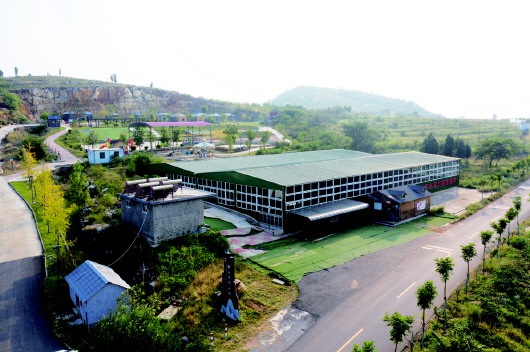 峨山镇奏响"山水林田大会战"奋进曲