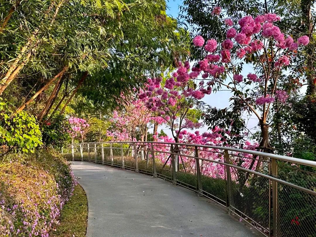 五缘湾等虎头山,金山,虎仔山,观音山,沿线串联起狐尾山,仙岳山,园山