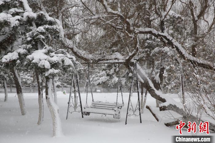 威海雪灾图片